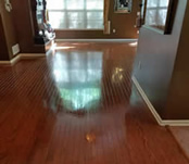 Engineered floor after refinishing